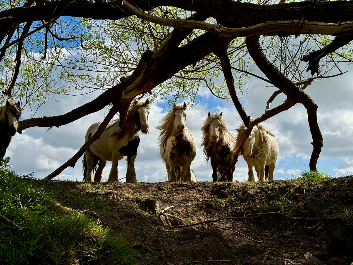 Waterworld Wrexham gallery image