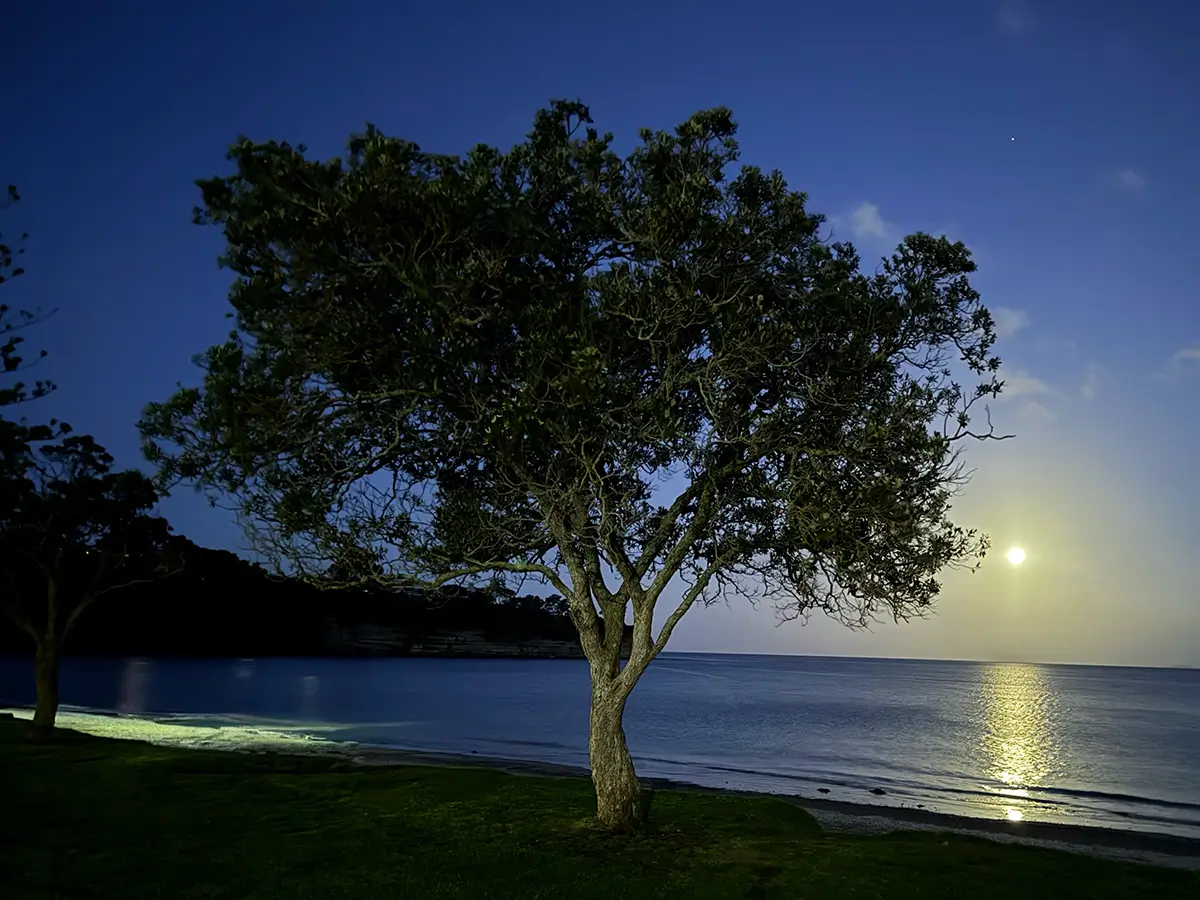 Takapuna Pool gallery image