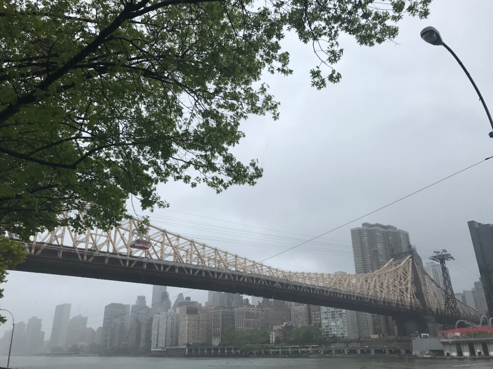 Roosevelt Island, Sportspark Swim Center gallery image