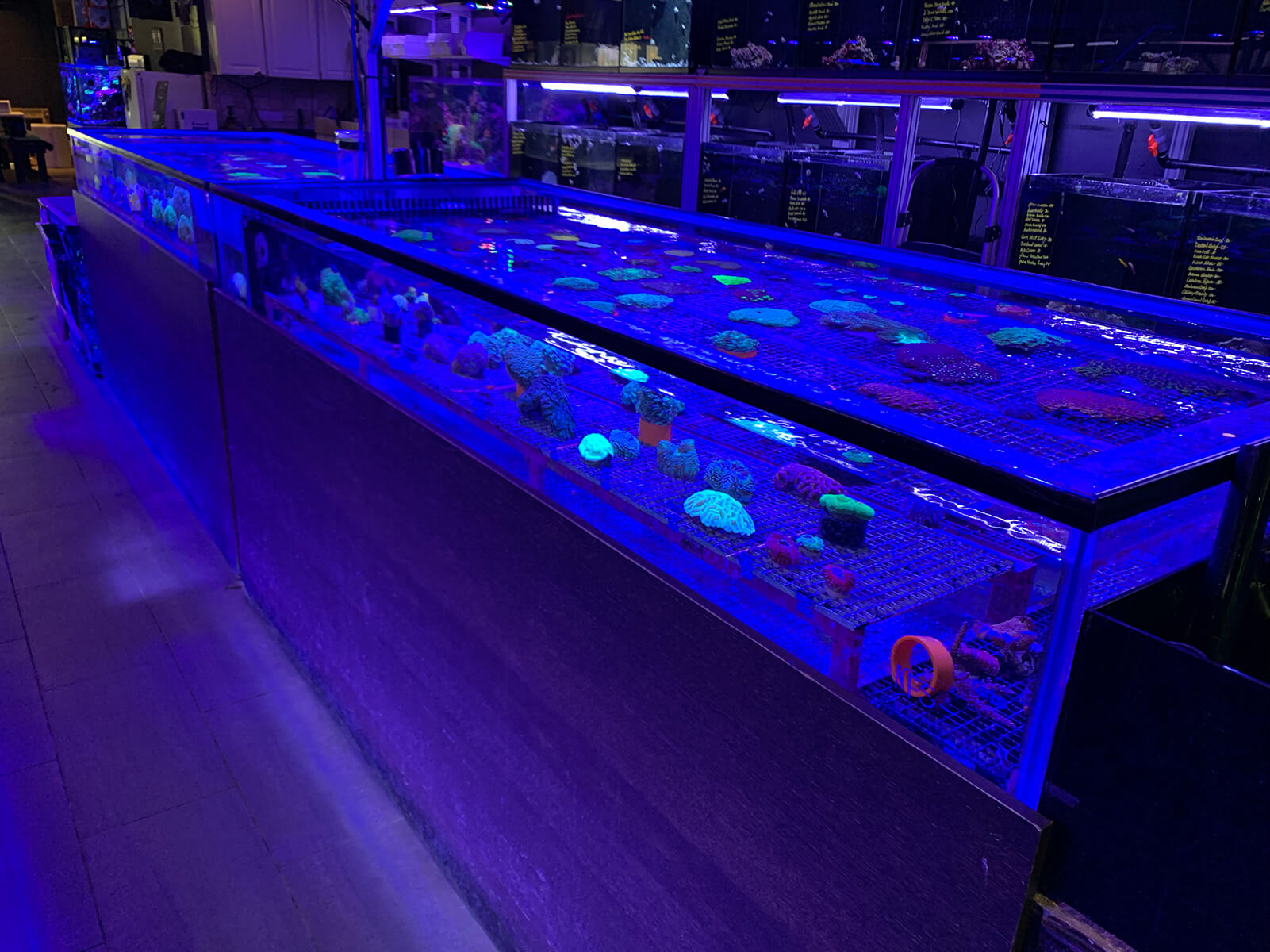 Manhattan Plaza Health Club gallery image