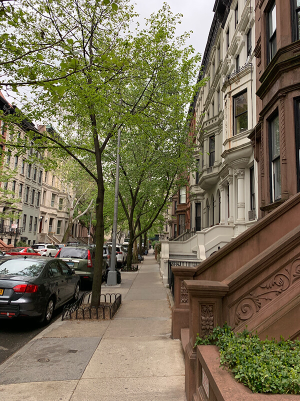 Marlene Meyerson JCC Manhattan gallery image